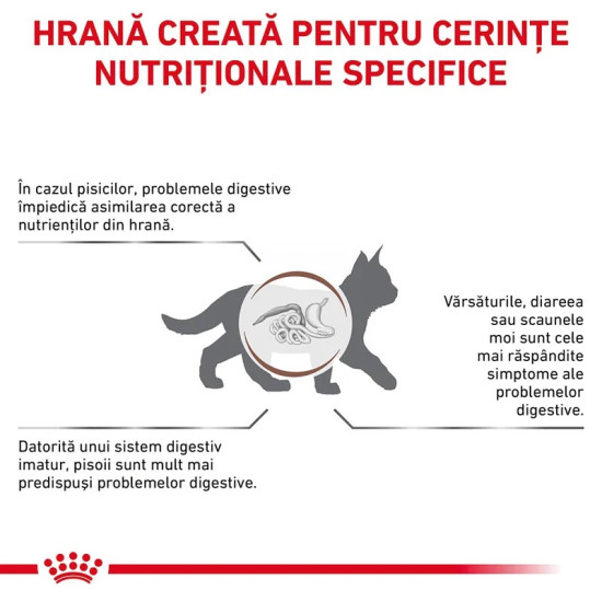 Royal Canin Veterinary Feline Gastrointestinal Kitten – Hrană Uscată pentru Pisici Junior cu Tulburări Digestive, 2 kg